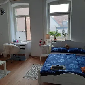  Habitación en casa particular Zentrales Und Grosses Gemutliches Zimmer In City
